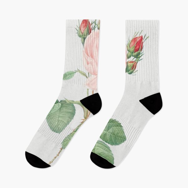 Item preview, Les Roses by Pierre-Joseph Redouté designed and sold by EsotericBotanic.