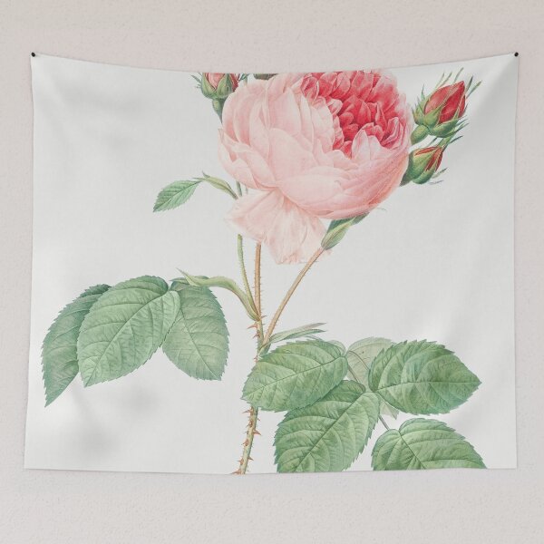 Item preview, Les Roses by Pierre-Joseph Redouté designed and sold by EsotericBotanic.