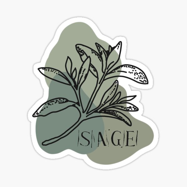 Hand Drawn Floral Arrangement Sticker — Sage & Oak