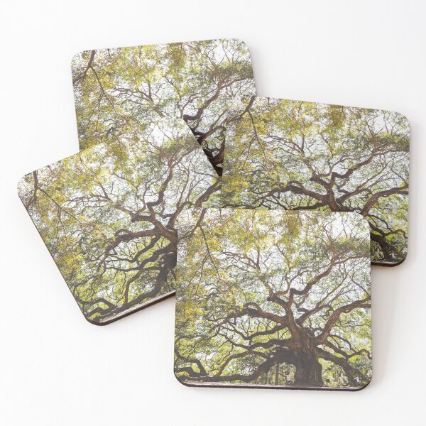 Item preview, Angel Oak Tree - Charleston, SC designed and sold by ErikBPhoto.