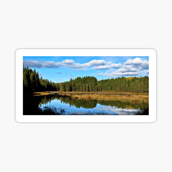 A Perfect Reflection Sticker