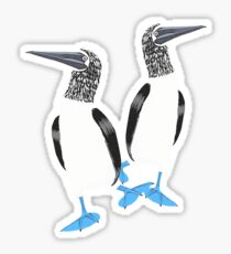 Blue-footed booby Sticker