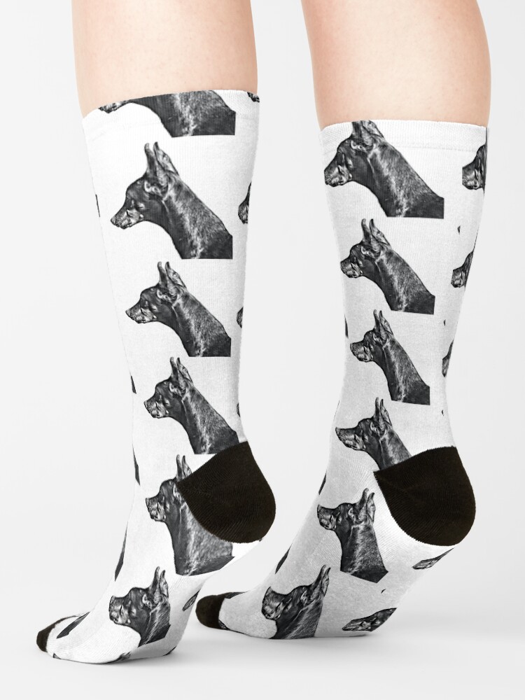 Thumbnail 4 of 5, Socks, Doberman Socks designed and sold by HohenhallaDobes.