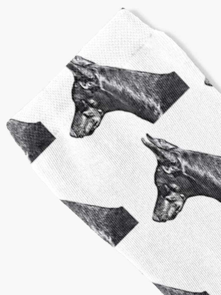 Thumbnail 2 of 5, Socks, Doberman Socks designed and sold by HohenhallaDobes.