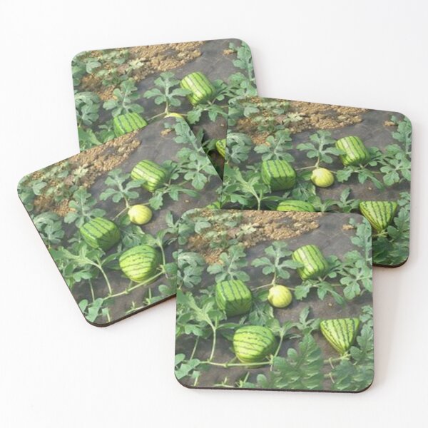 Item preview, Amazing watermelons.  designed and sold by Lan thi Nguyen.