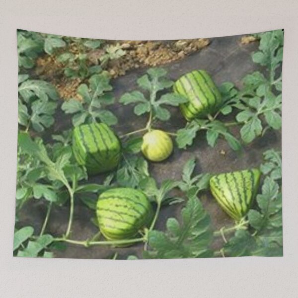 Item preview, Amazing watermelons.  designed and sold by Lan thi Nguyen.