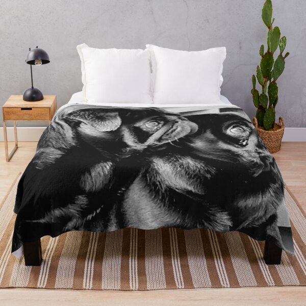 Item preview, Dogs Black Pugs Siblings designed and sold by CabinArtStudio.