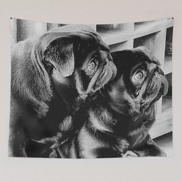 Item preview, Dogs Black Pugs Siblings designed and sold by CabinArtStudio.