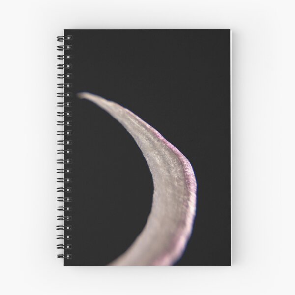 Item preview, Sliver of Moon designed and sold by rachelcphotoart.