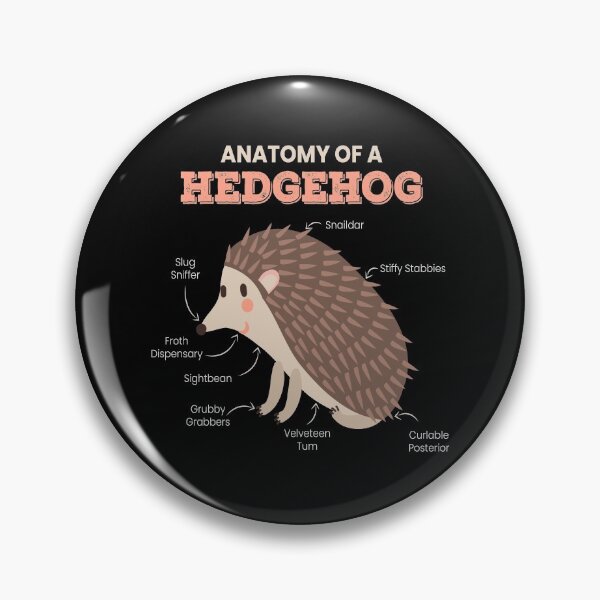 Item preview, Anatomy Of A Hedgehog Cute Autumn designed and sold by MooonTees.