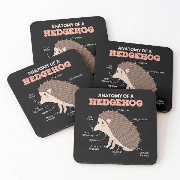 Item preview, Anatomy Of A Hedgehog Cute Autumn designed and sold by MooonTees.