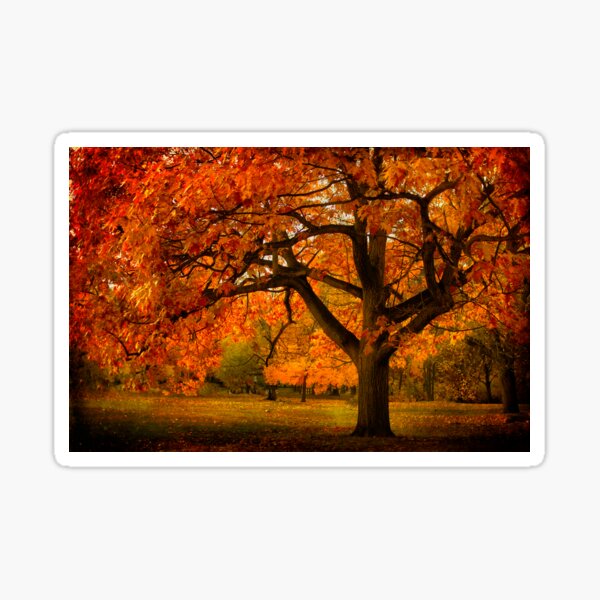 Item preview, Red Oak Tree designed and sold by LudaNayvelt.