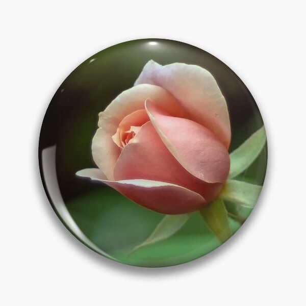 Item preview, Pink Rose  designed and sold by drpendleton.