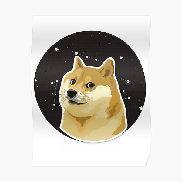 Poster Hund Im Weltraum Meme Redbubble