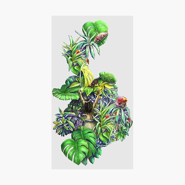 lush garden cut out Photographic Print