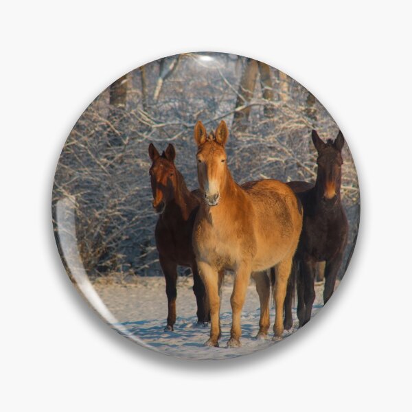 Item preview, Three Horses in Snow designed and sold by KellyHeaton.