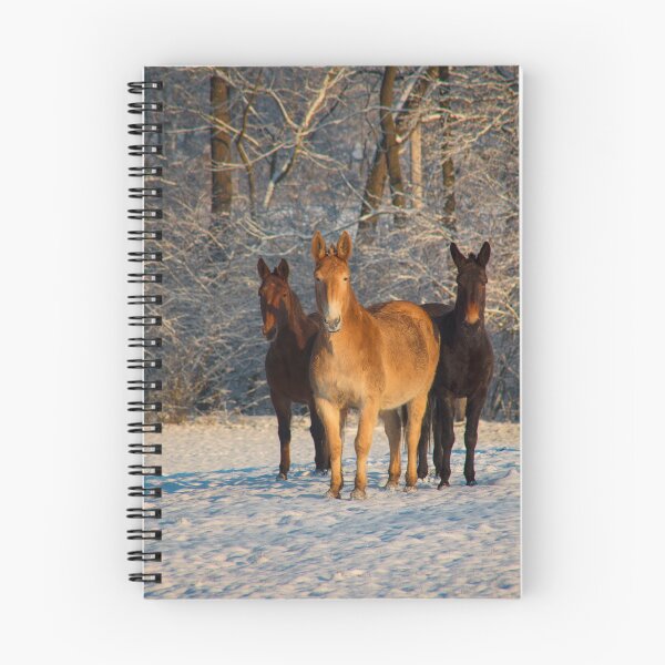 Item preview, Three Horses in Snow designed and sold by KellyHeaton.
