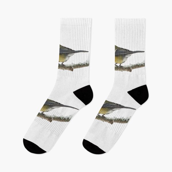 Item preview, Great tit transparent designed and sold by Jouko Lehto Photography.