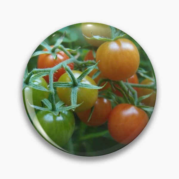 Item preview, Cherry Tomatoes Ripening on the Vine designed and sold by Theophanes Avery.