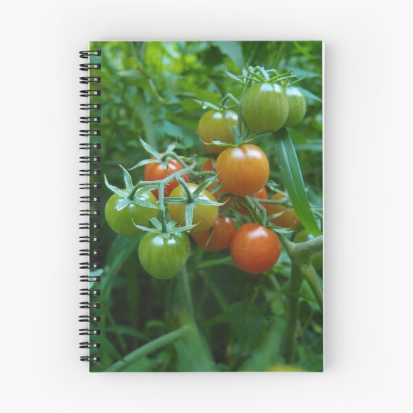 Item preview, Cherry Tomatoes Ripening on the Vine designed and sold by Theophanes Avery.