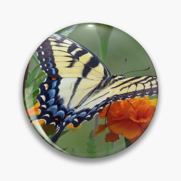 Item preview, Yellow Eastern Tiger Swallowtail designed and sold by Frankie Cat Photography.