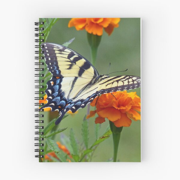 Item preview, Yellow Eastern Tiger Swallowtail designed and sold by Frankie Cat Photography.