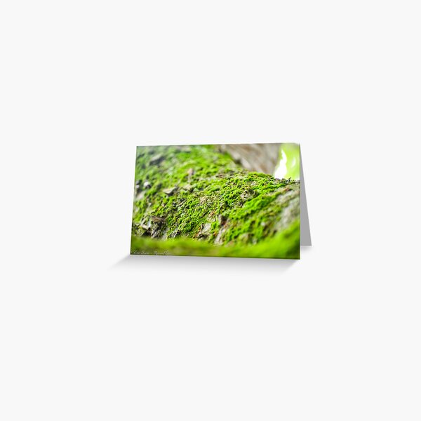 Item preview, Mossy Branch  designed and sold by RayonFleur.