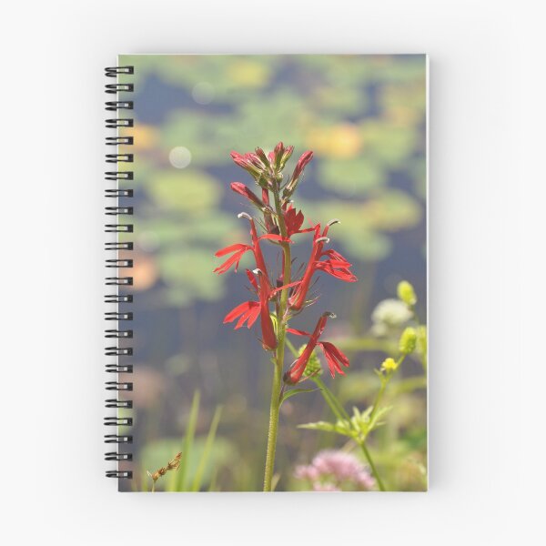 Item preview, A Red Wild Flower designed and sold by Theophanes Avery.