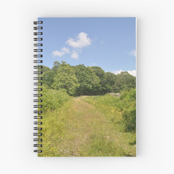 Item preview, A Meadow Path designed and sold by Theophanes Avery.