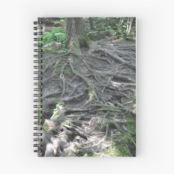 Item preview, Eroded Roots on the Mountain designed and sold by Theophanes Avery.