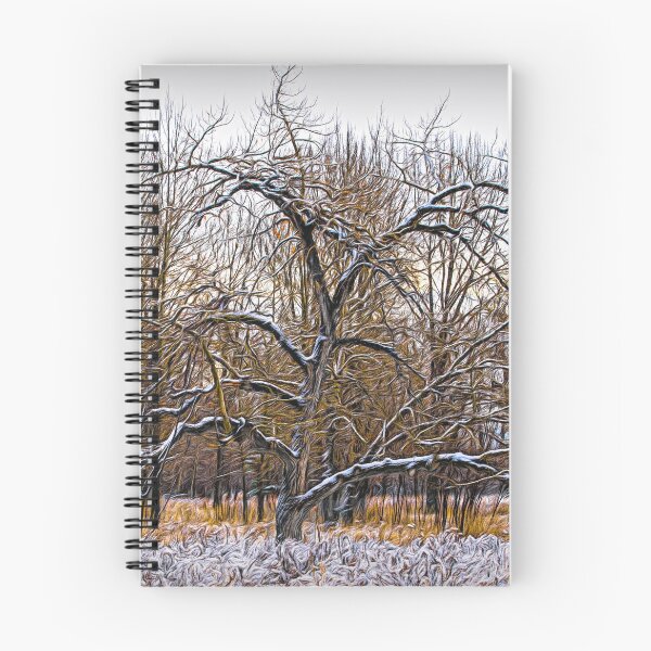 Item preview, Forest illustration designed and sold by CanadianWild418.