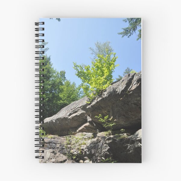 Item preview, Sapling Conquering a Rock designed and sold by Theophanes Avery.