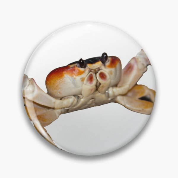 Item preview, Walking crab, photo designed and sold by Nostrathomas66.