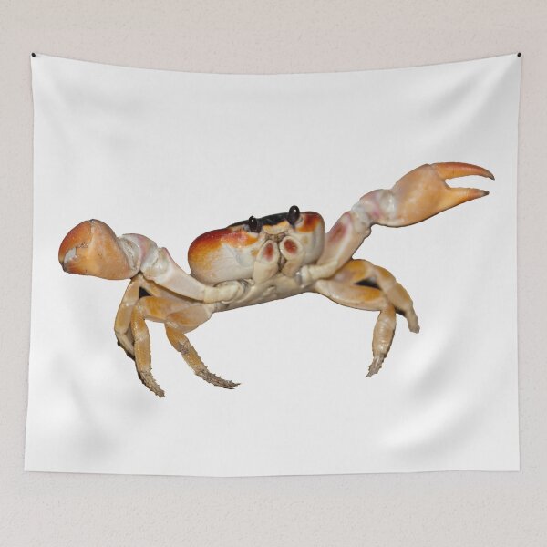 Item preview, Walking crab, photo designed and sold by Nostrathomas66.