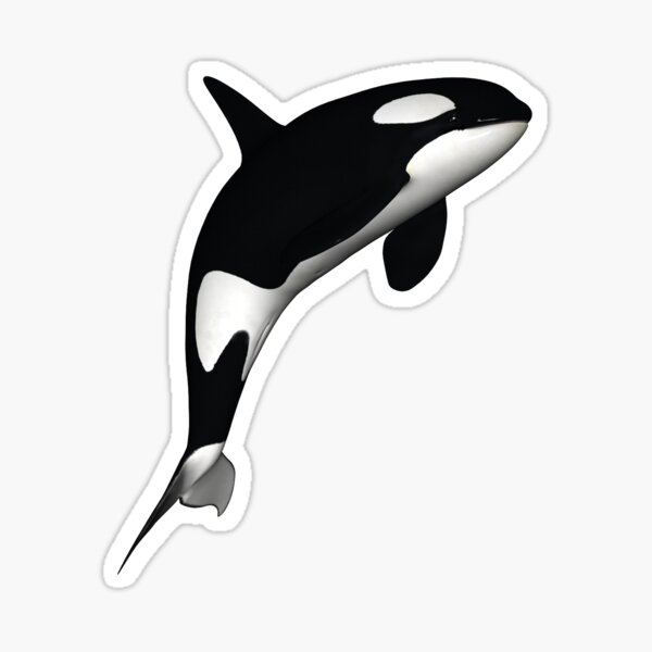 ORCA KILLER WHALE Vinyl Decal Sticker Car Window Wall Bumper Cute Love Whales