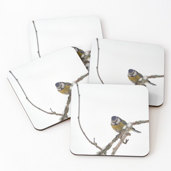 Item preview, Snowwhite. Eurasian blue tit designed and sold by Jouko Lehto Photography.