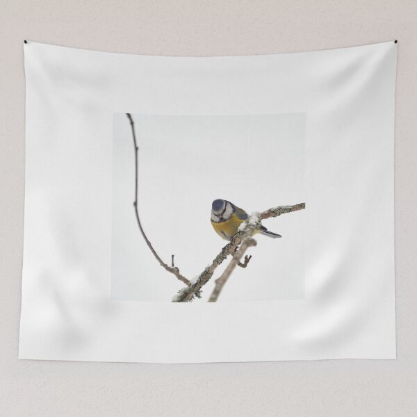 Item preview, Snowwhite. Eurasian blue tit designed and sold by Jouko Lehto Photography.