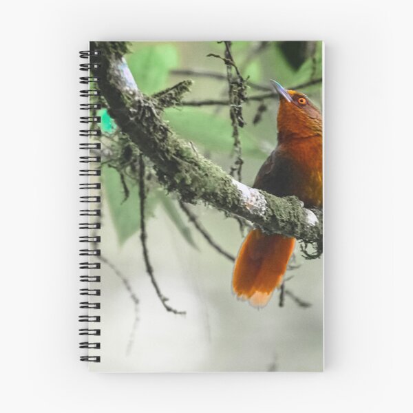 Item preview, Tropical bird designed and sold by andrehqphotos.