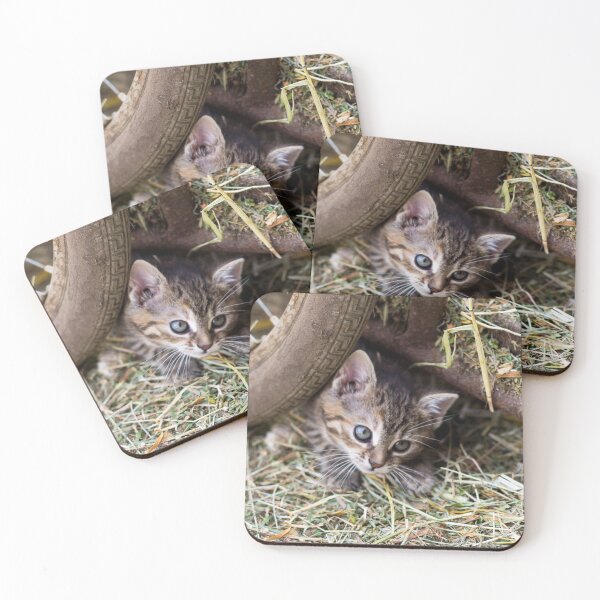 Item preview, Kitten designed and sold by RavenneArt.