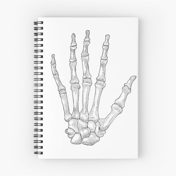 Item preview, Sketch Hand Skeleton Xray Aa Radiography designed and sold by lodarohit.