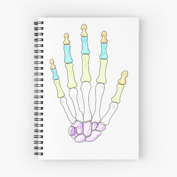 Item preview, Radiology Colorful Hand Skeleton Xray As Radiography designed and sold by lodarohit.