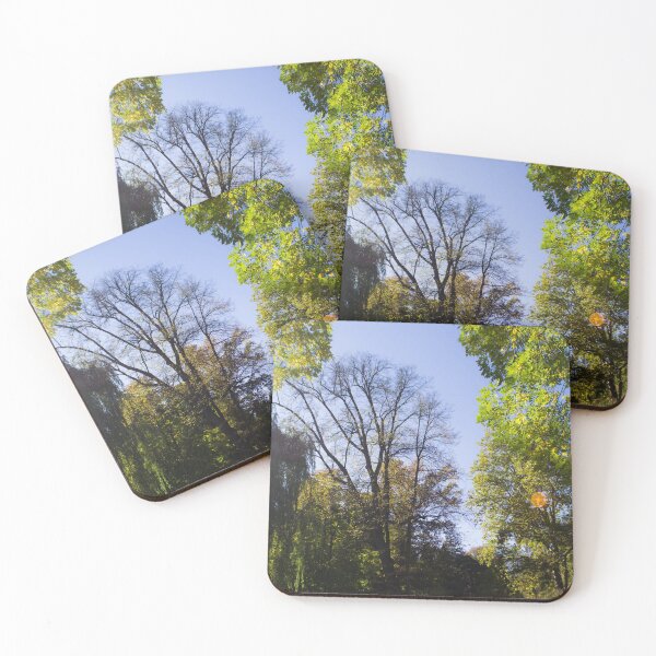 Item preview, Forest designed and sold by RavenneArt.