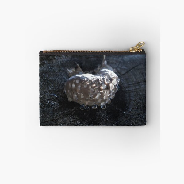 Item preview, Weird Mushroom designed and sold by RavenneArt.