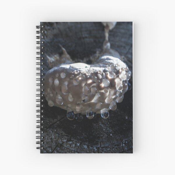 Item preview, Weird Mushroom designed and sold by RavenneArt.