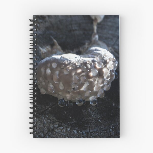 Item preview, Weird Mushroom designed and sold by RavenneArt.