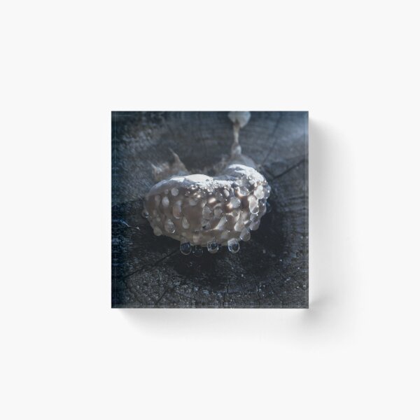 Item preview, Weird Mushroom designed and sold by RavenneArt.
