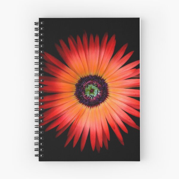 Item preview, Bright Orange Flower on Black designed and sold by KRBailey.