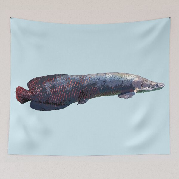 Artikelvorschau, Arapaima-Farbdruck entworfen und verkauft von designsasstultd.