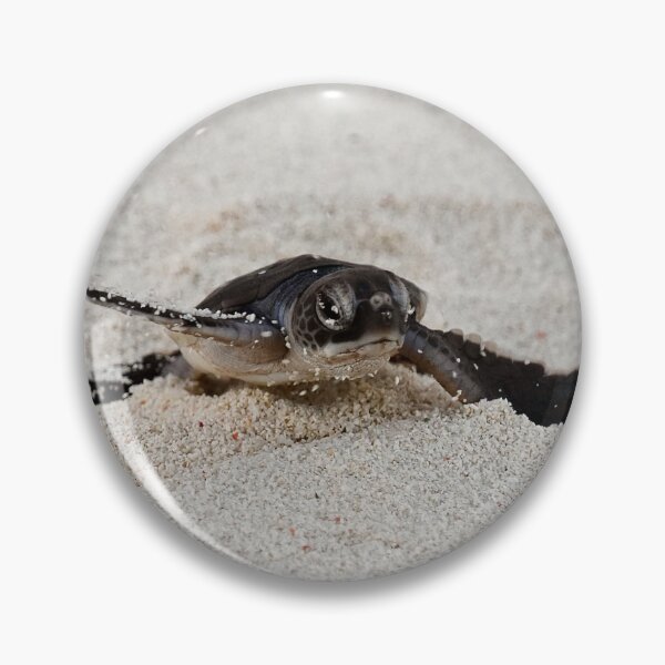 Item preview, Green Sea Turtle Hatchling designed and sold by lhowden.