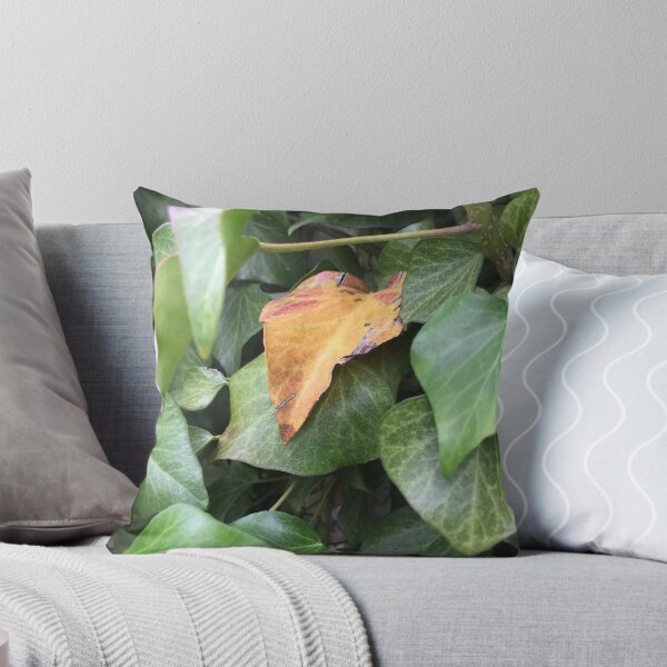 Item preview, Ivy designed and sold by Terra Dumont.